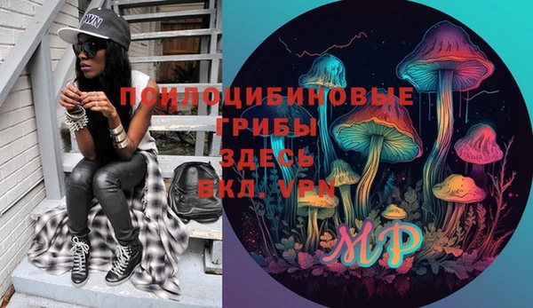 шишки Алексин