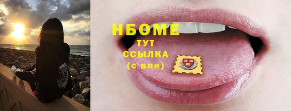шишки Алексин