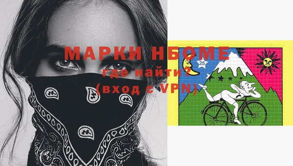 шишки Алексин