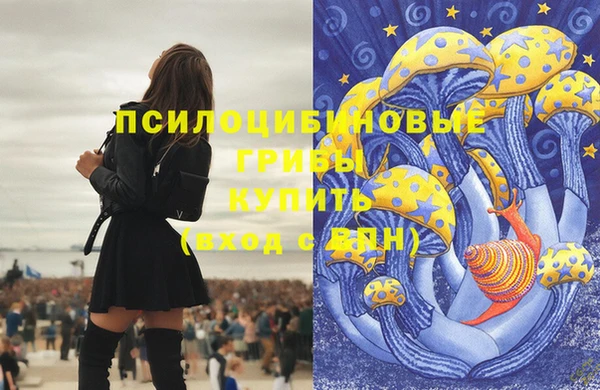 шишки Алексин