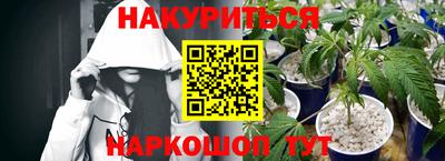 стафф Лесосибирск