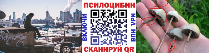 Псилоцибиновые грибы Psilocybine cubensis  Дзержинск 