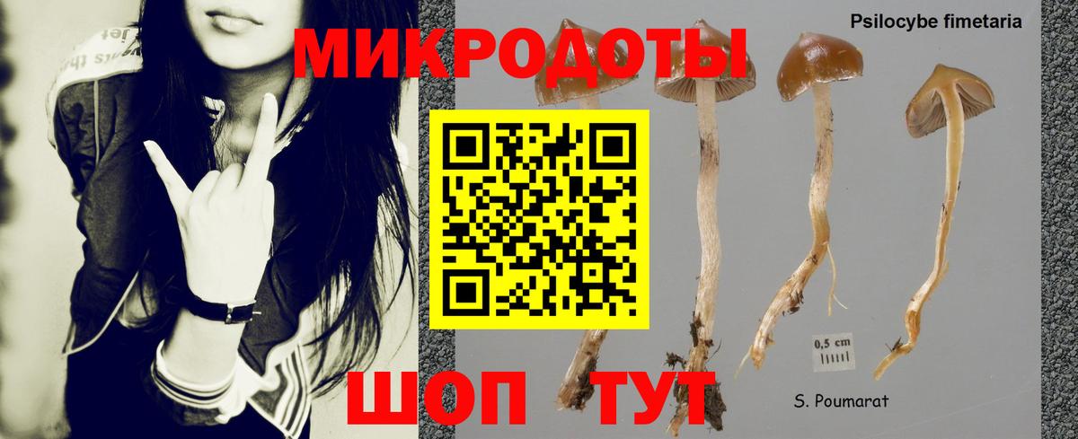 Галлюциногенные грибы мухоморы Дзержинск